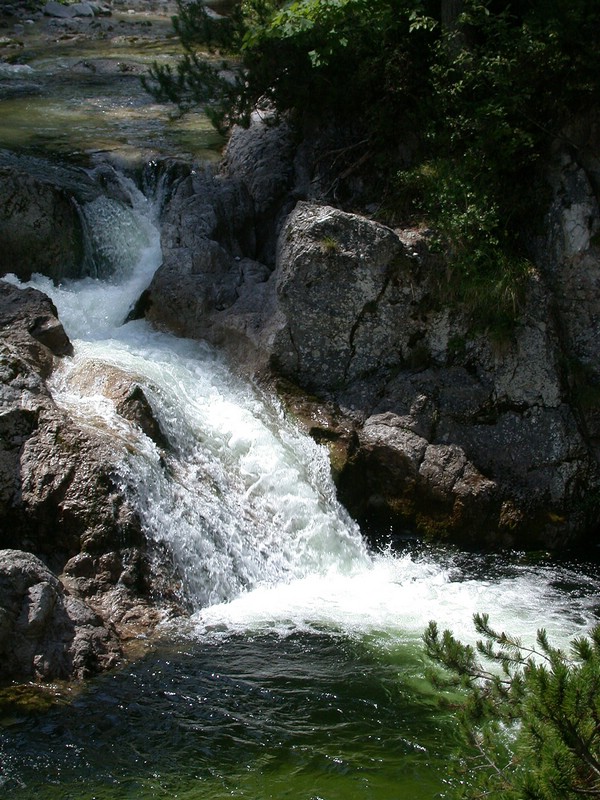 DSCN3315.JPG