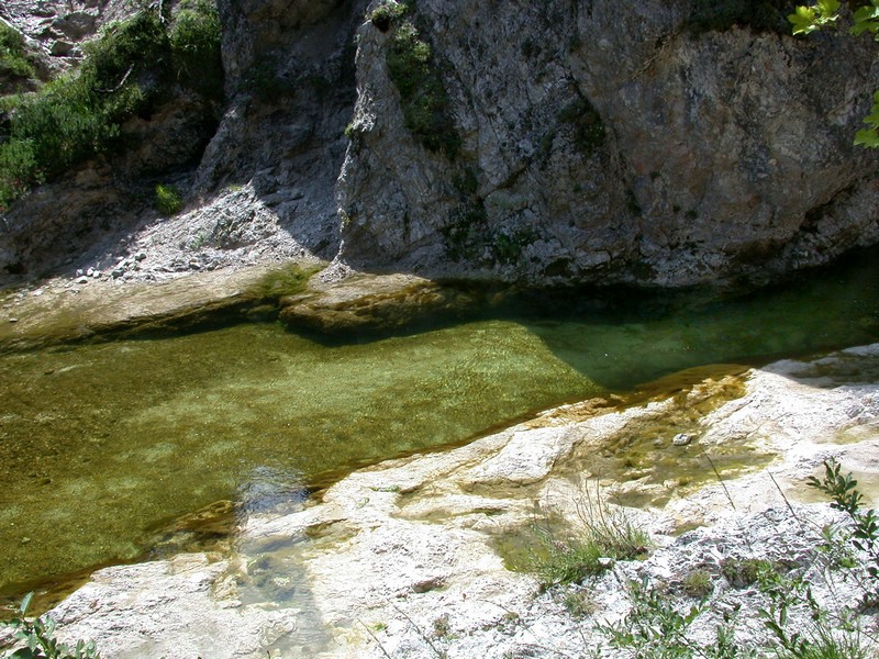 DSCN3319.JPG