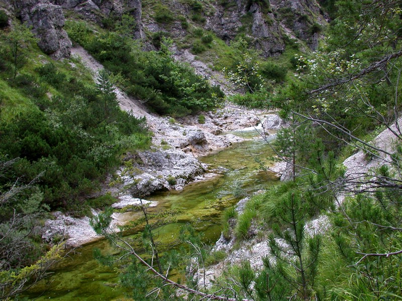 DSCN3330.JPG
