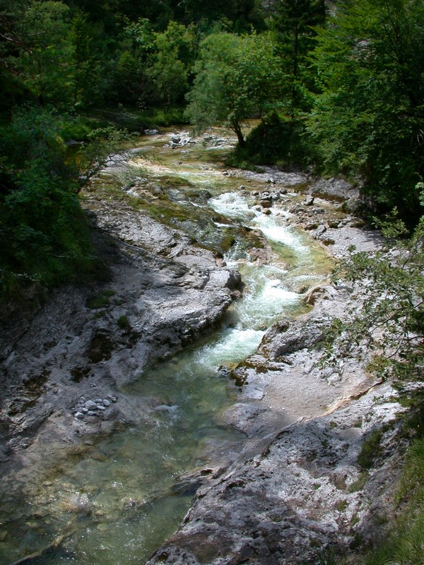 DSCN3333.JPG