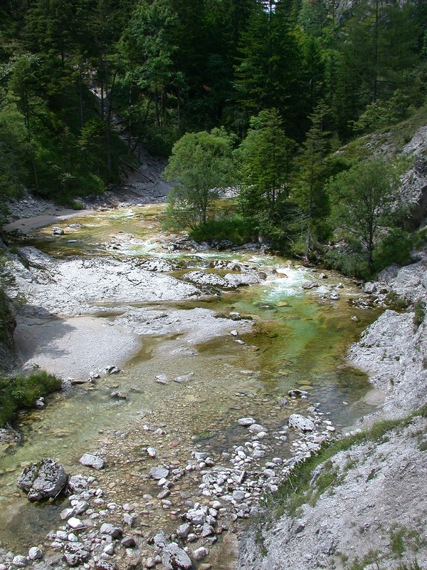 DSCN3339.JPG