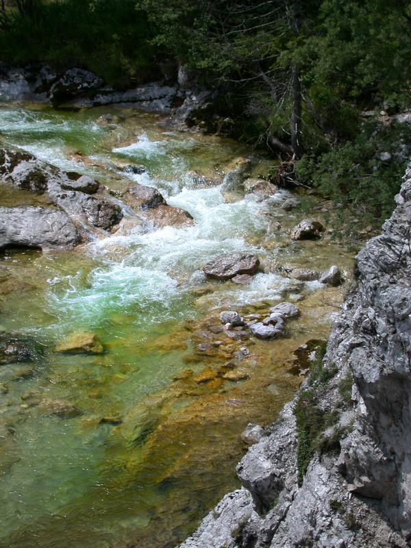 DSCN3342.JPG
