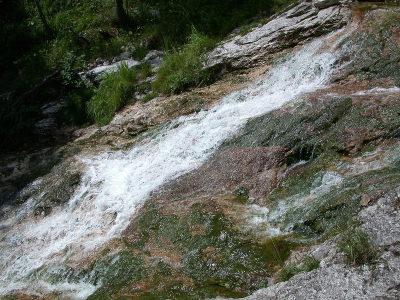 DSCN3346.JPG