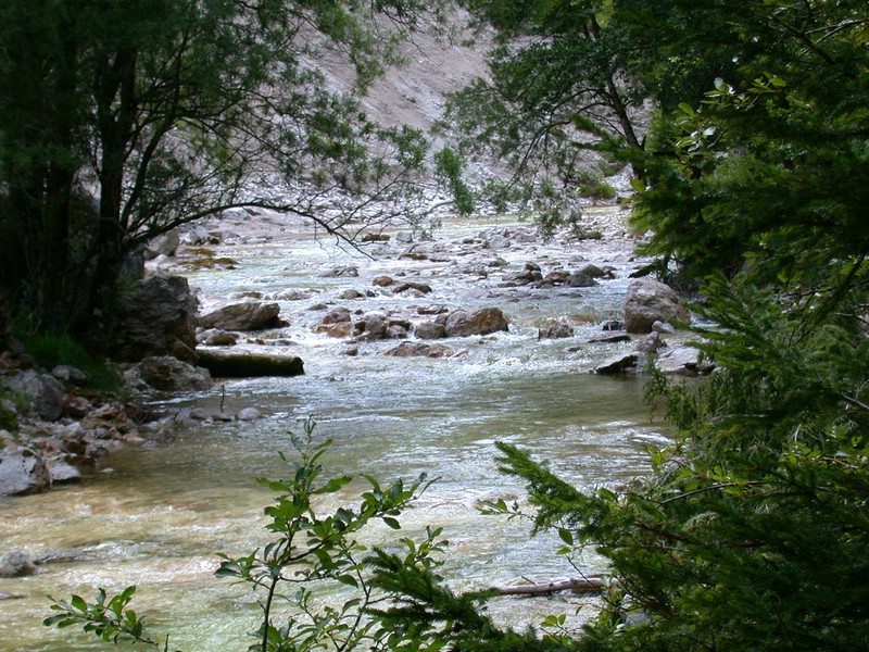 DSCN3357.JPG