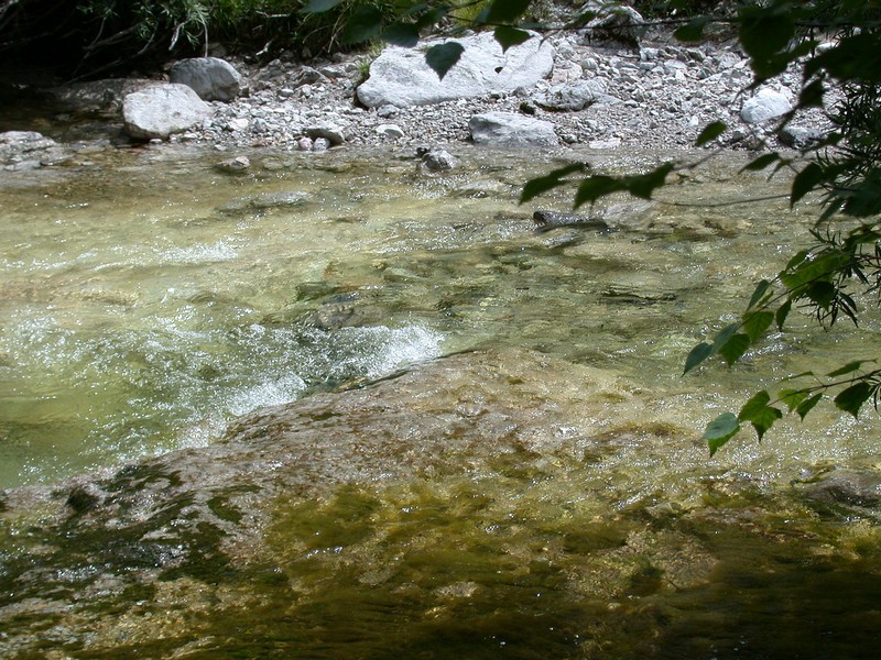 DSCN3362.JPG