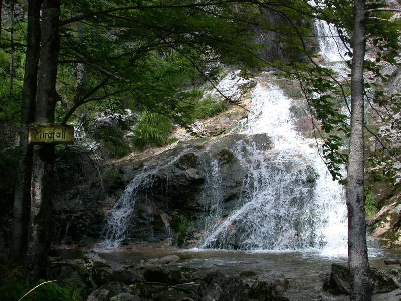 DSCN3371.JPG