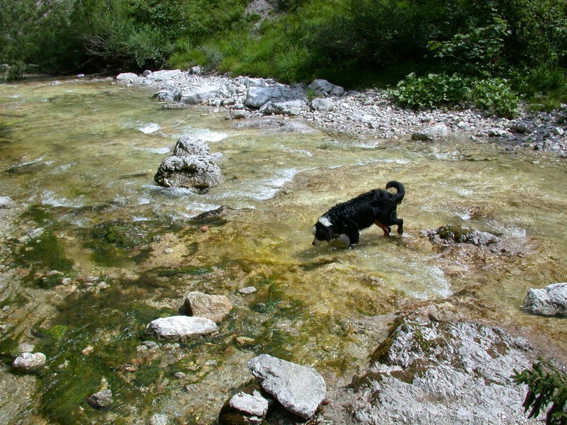 DSCN3376.JPG