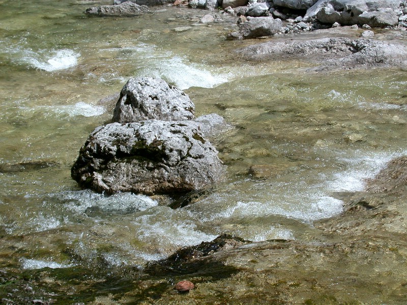 DSCN3378.JPG