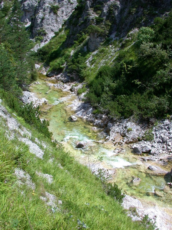 DSCN3387.JPG