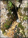 DSCN3306.JPG