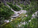 DSCN3330.JPG