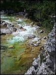 DSCN3342.JPG