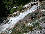 DSCN3346.JPG