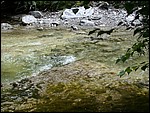 DSCN3362.JPG