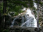 DSCN3371.JPG