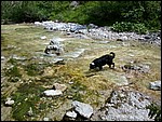 DSCN3376.JPG