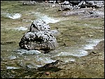 DSCN3378.JPG