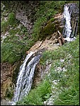 DSCN3395.JPG