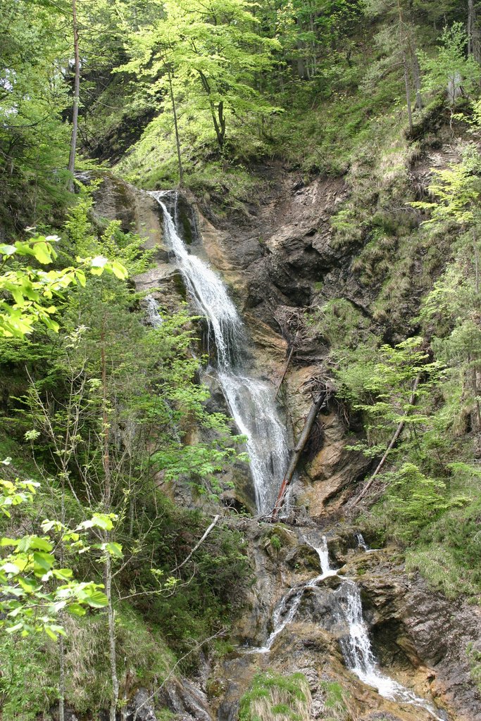 IMG_3083.JPG