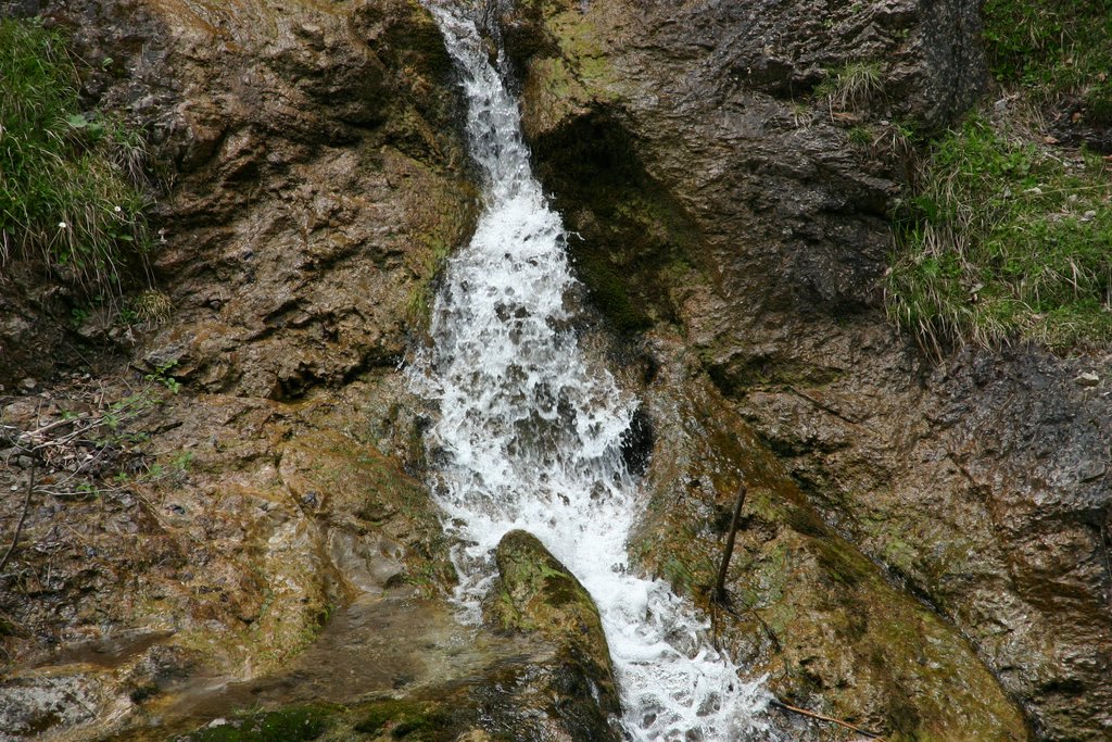 IMG_3085.JPG