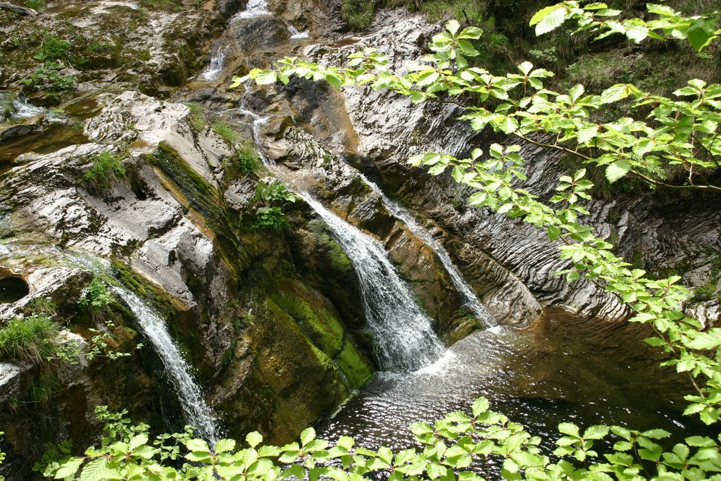 IMG_3086.JPG