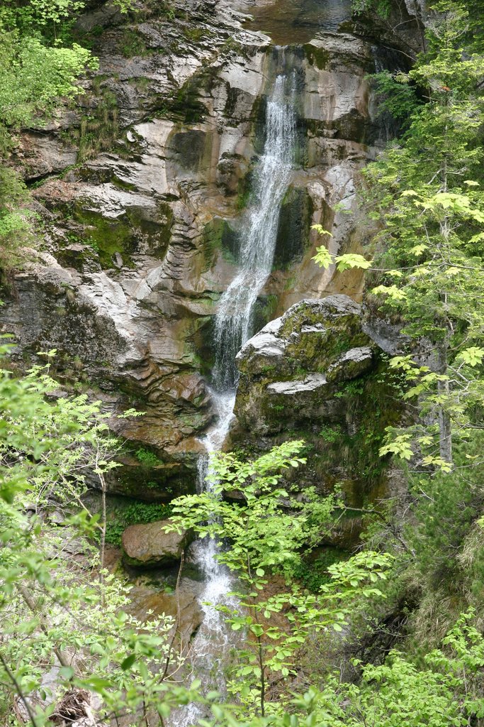 IMG_3094.JPG