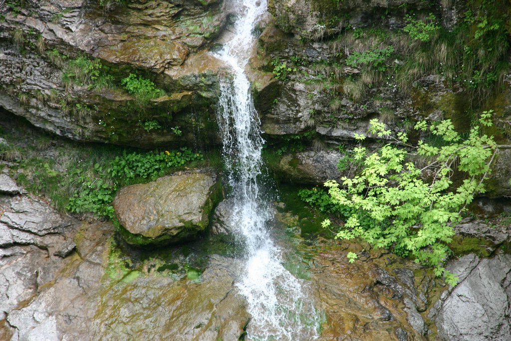 IMG_3096.JPG