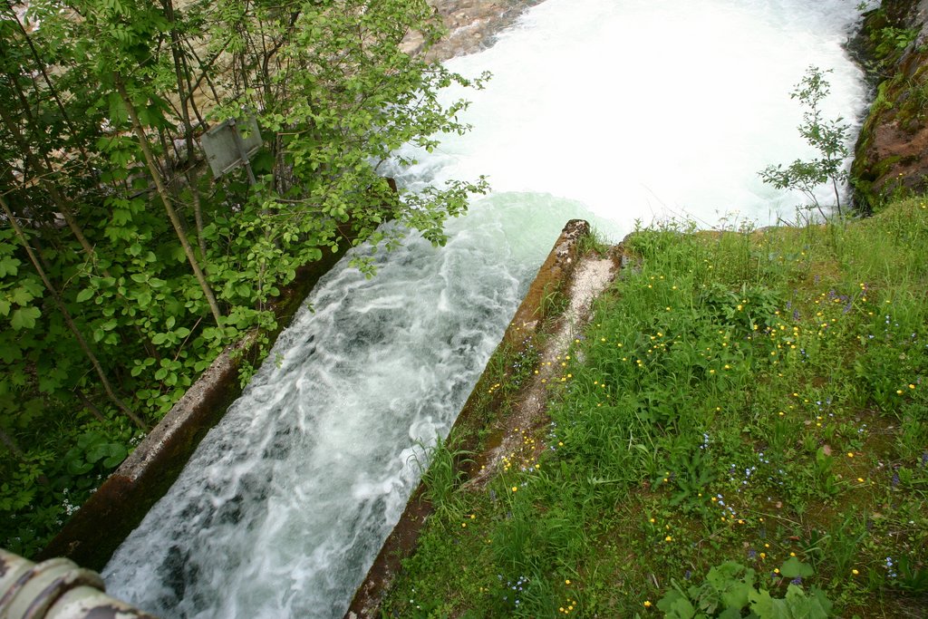 IMG_3116.JPG