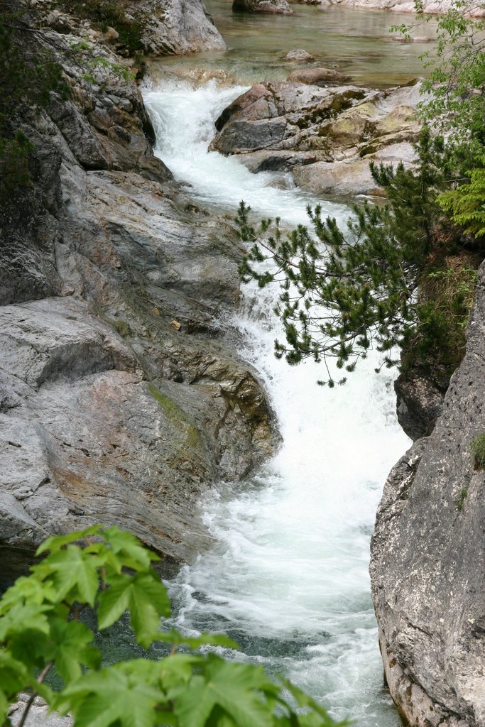 IMG_3130.JPG