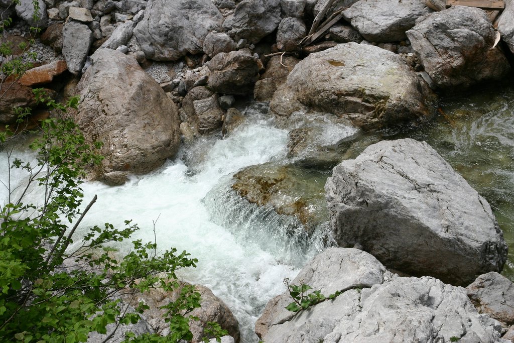 IMG_3143.JPG