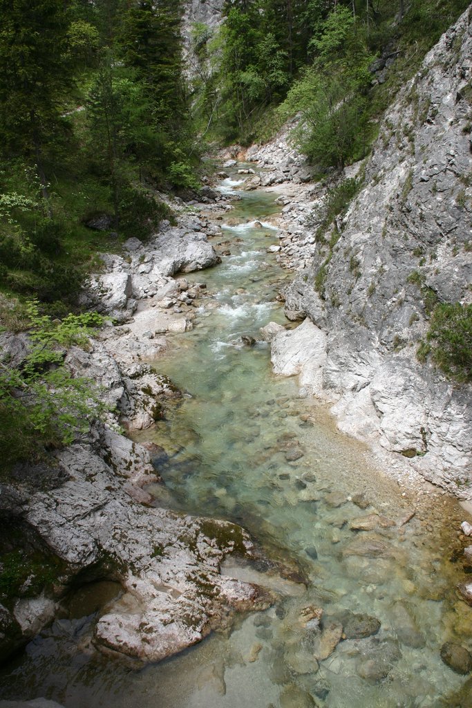 IMG_3147.JPG