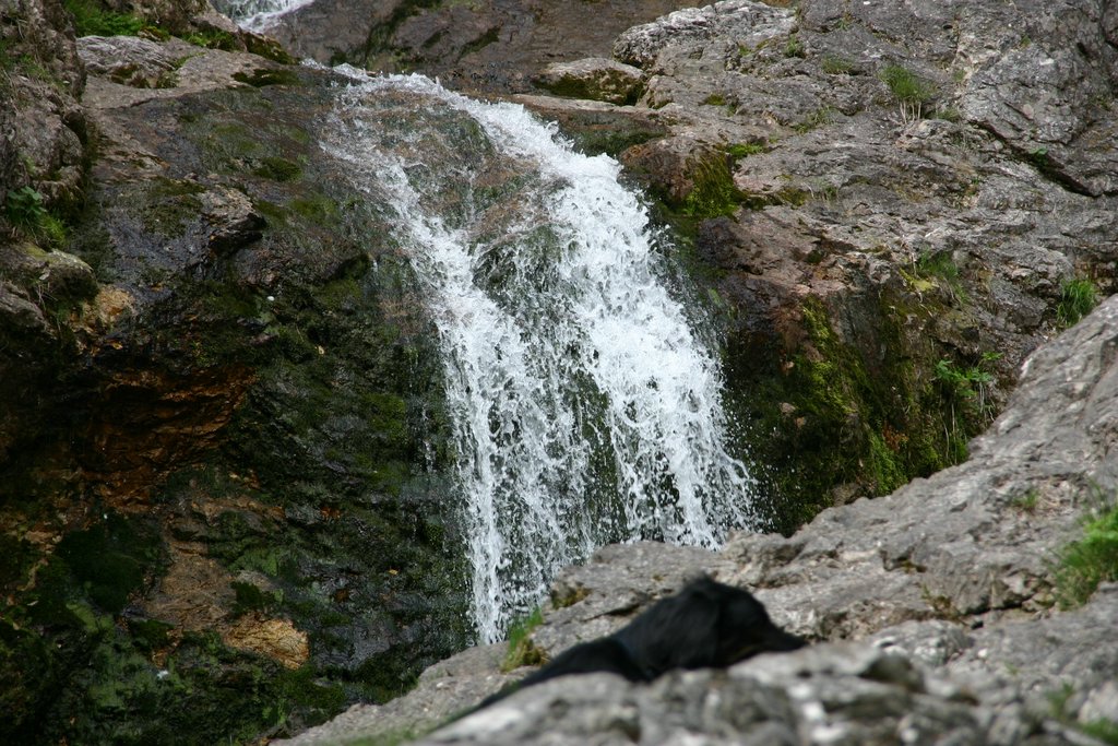 IMG_3246.JPG