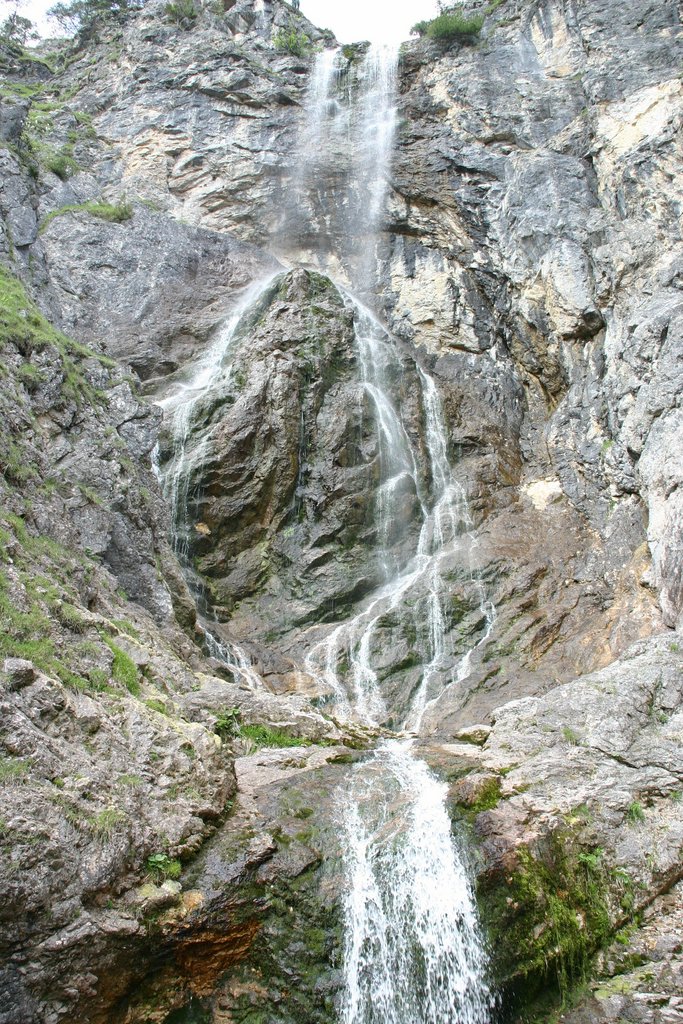 IMG_3249.JPG