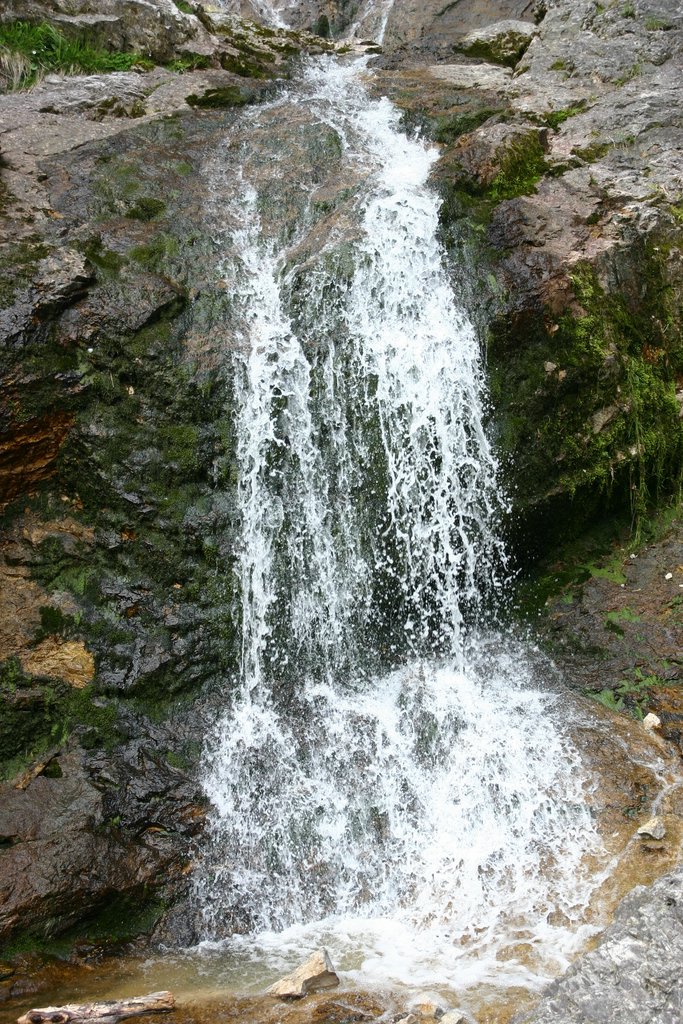 IMG_3250.JPG