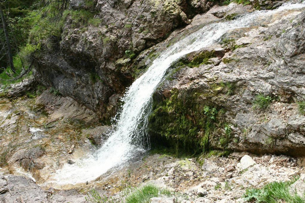 IMG_3251.JPG