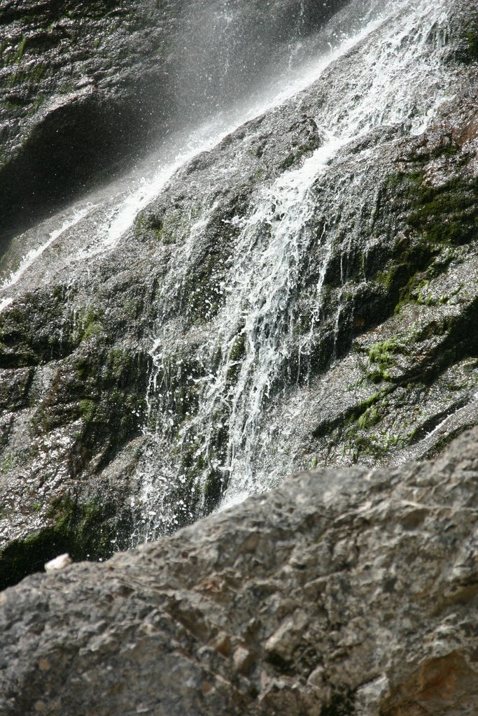 IMG_3258.JPG