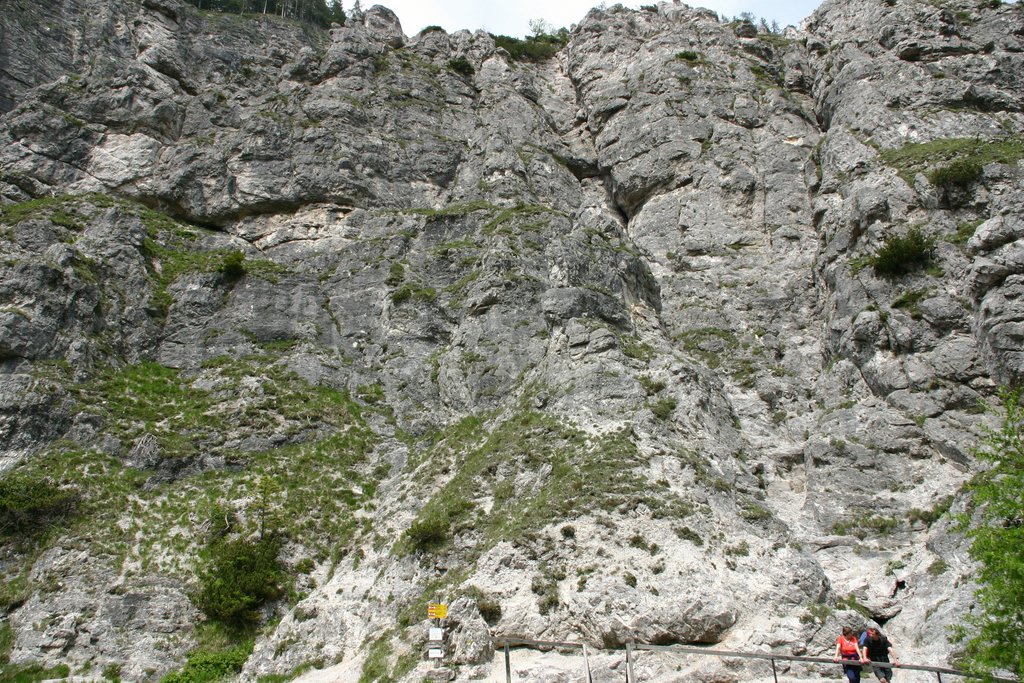 IMG_3294.JPG
