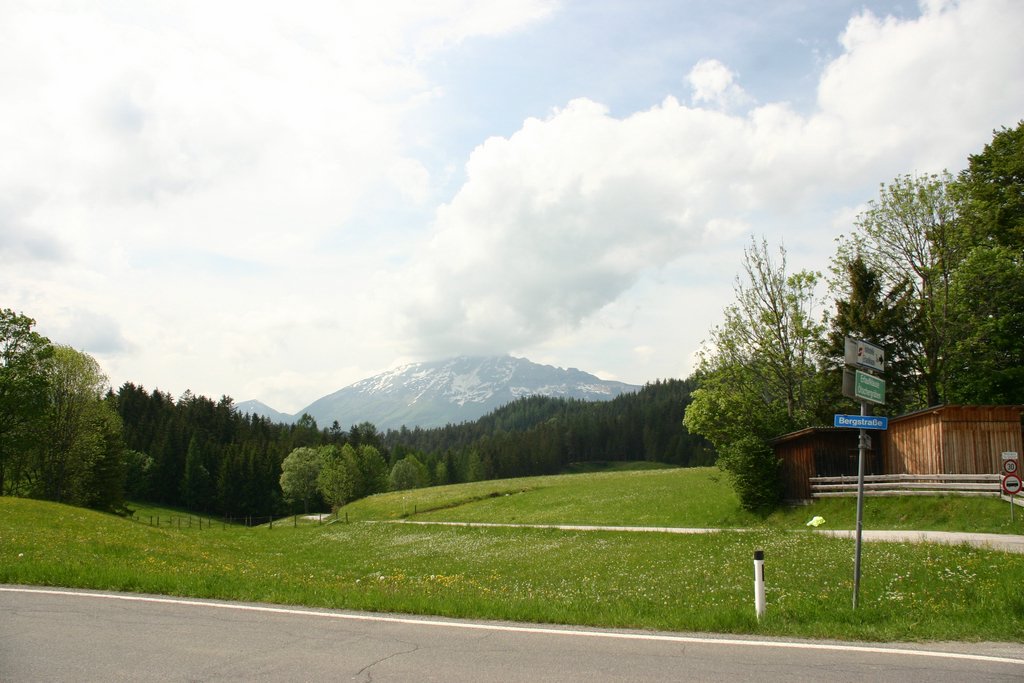 IMG_3315.JPG