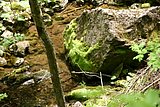 IMG_3078.JPG