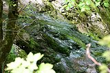IMG_3080.JPG