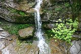 IMG_3096.JPG