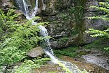 IMG_3102.JPG