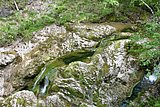 IMG_3109.JPG