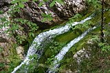 IMG_3110.JPG