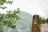 IMG_3117.JPG