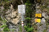 IMG_3119.JPG