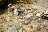 IMG_3120.JPG