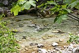 IMG_3121.JPG