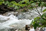 IMG_3123.JPG