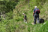 IMG_3124.JPG